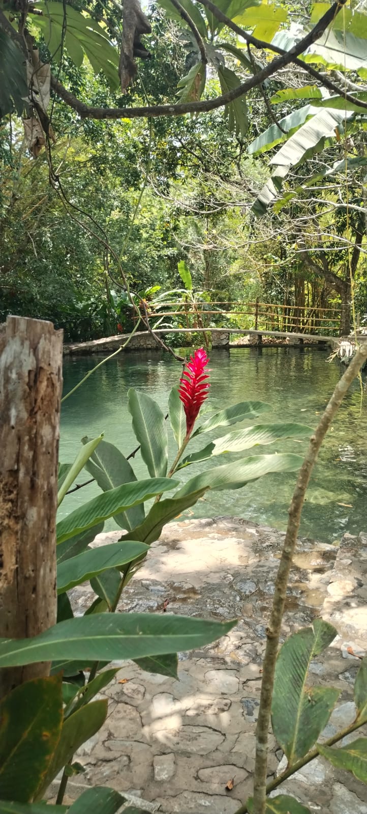 Biosfera Nacimiento de Agua, transporte colectivo con aire acondicionado