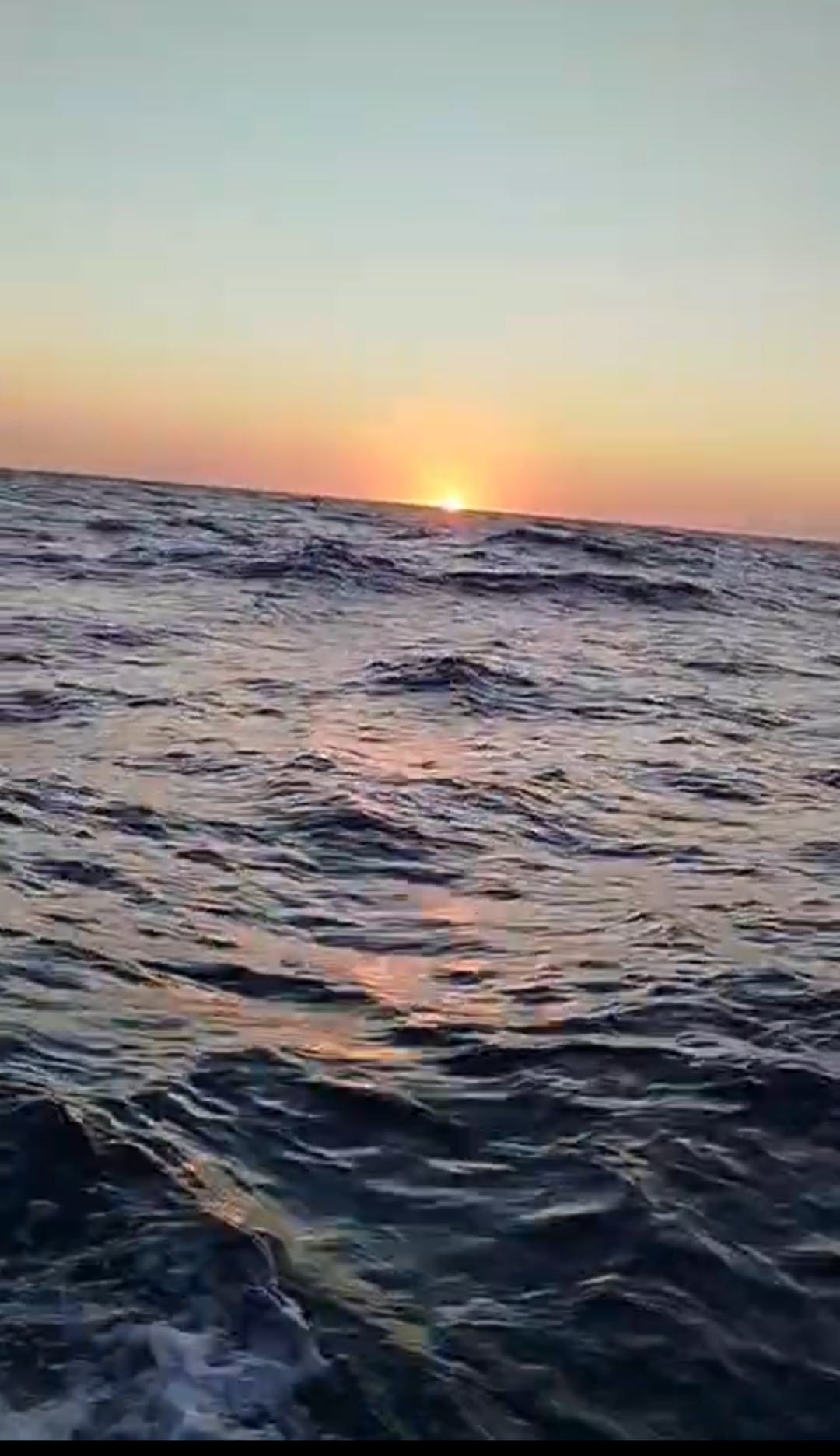 Lancha Privada | Vive el Amanecer Mágico con Delfines y Tortugas para 10 Personas
