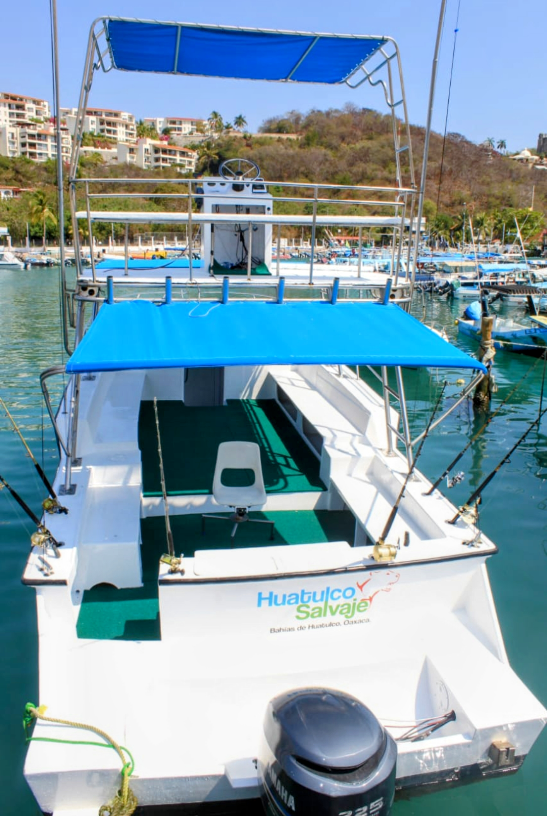 Pesca Deportiva en Alta Mar | Embarcación 39 FT con bañó ,5 HORAS