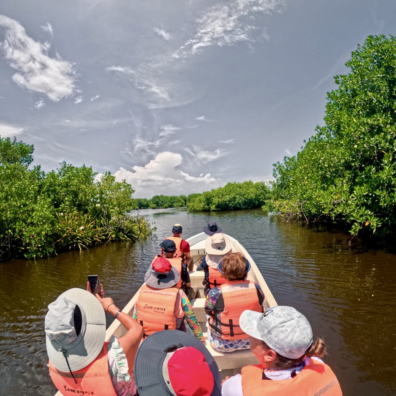 Eco tour,