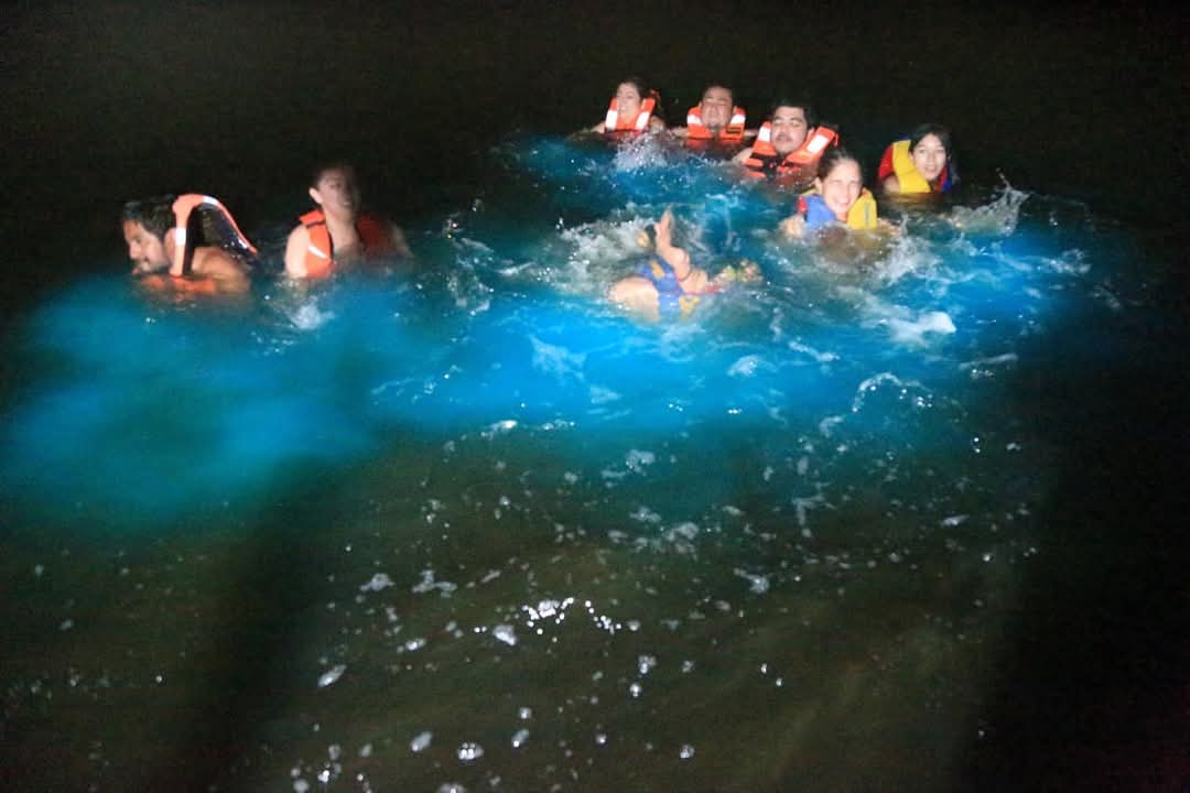 Experiencia Nocturna: Bioluminiscencia y Liberación de Tortugas, laguna de manialtepec colectivo