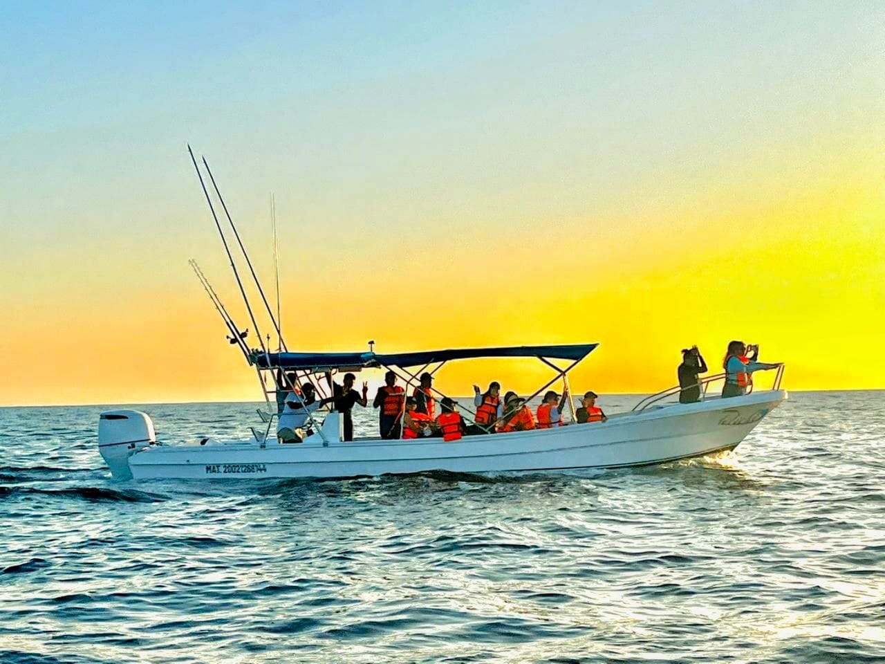 Lancha Privada | Vive el Amanecer Mágico con Delfines y Tortugas para 17 personas