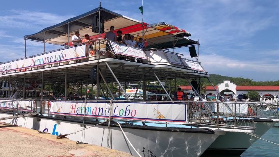 Paseó a las bahías en Catamarán 2