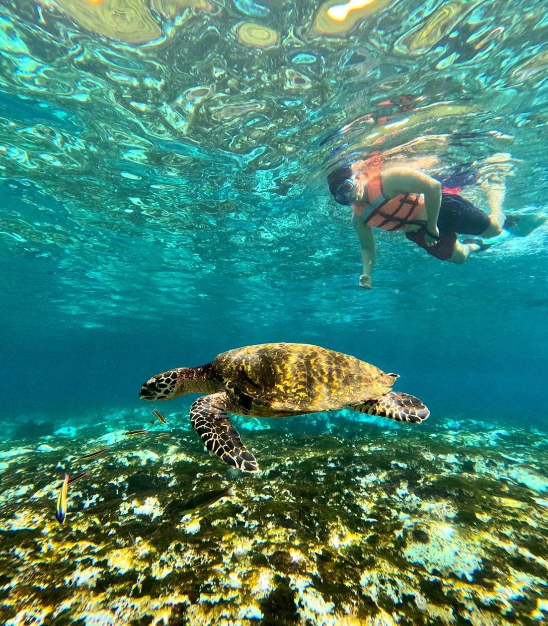 Paseó a las bahías en Catamarán 5