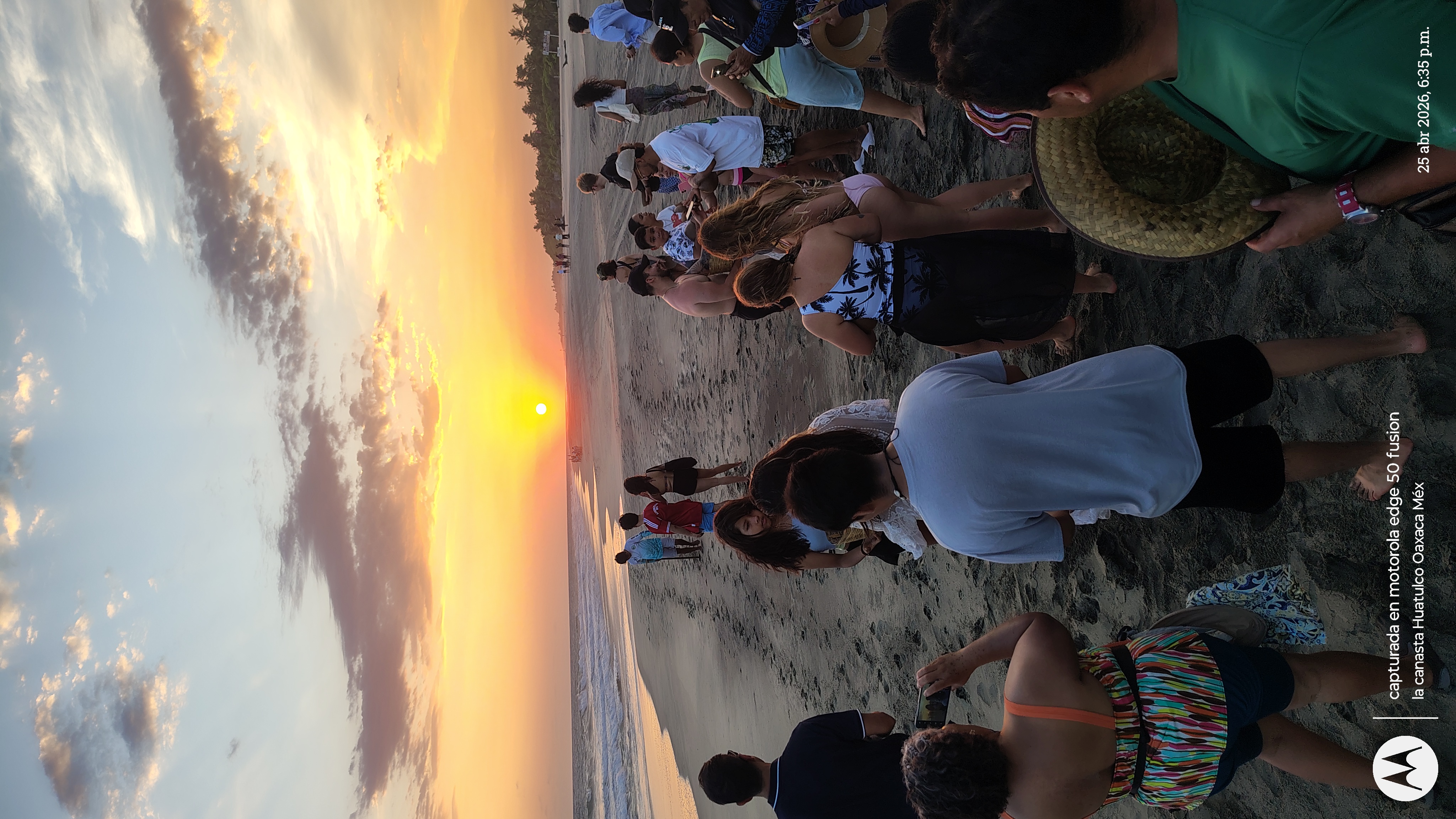 La ventanilla al atardecer: Naturaleza y liberación de Tortugas, paseó colectivo 5