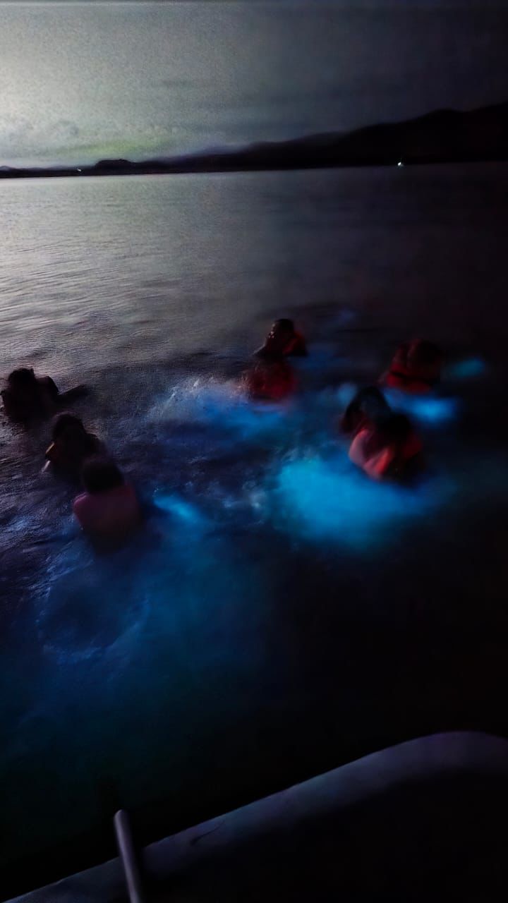 Expedición a las lagunas de Chacahua y bioluminisencia,para 5 personas 2