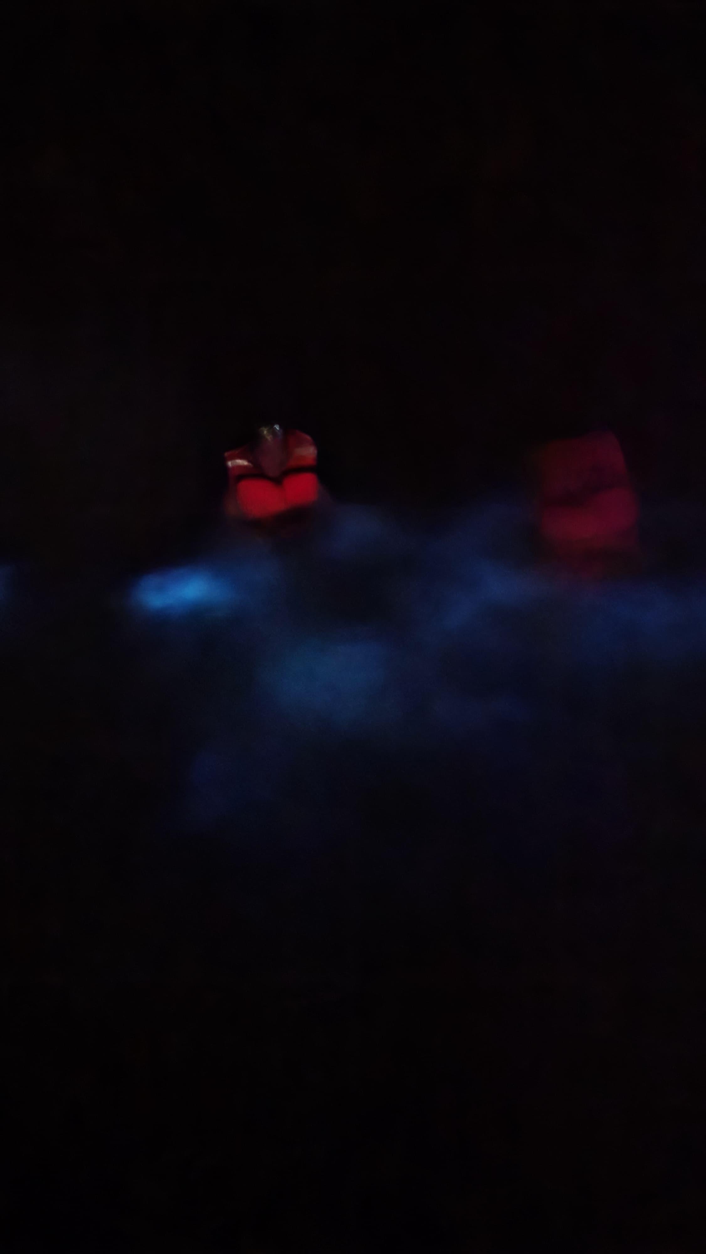 Expedición a las lagunas de Chacahua y bioluminisencia,para 5 personas 5