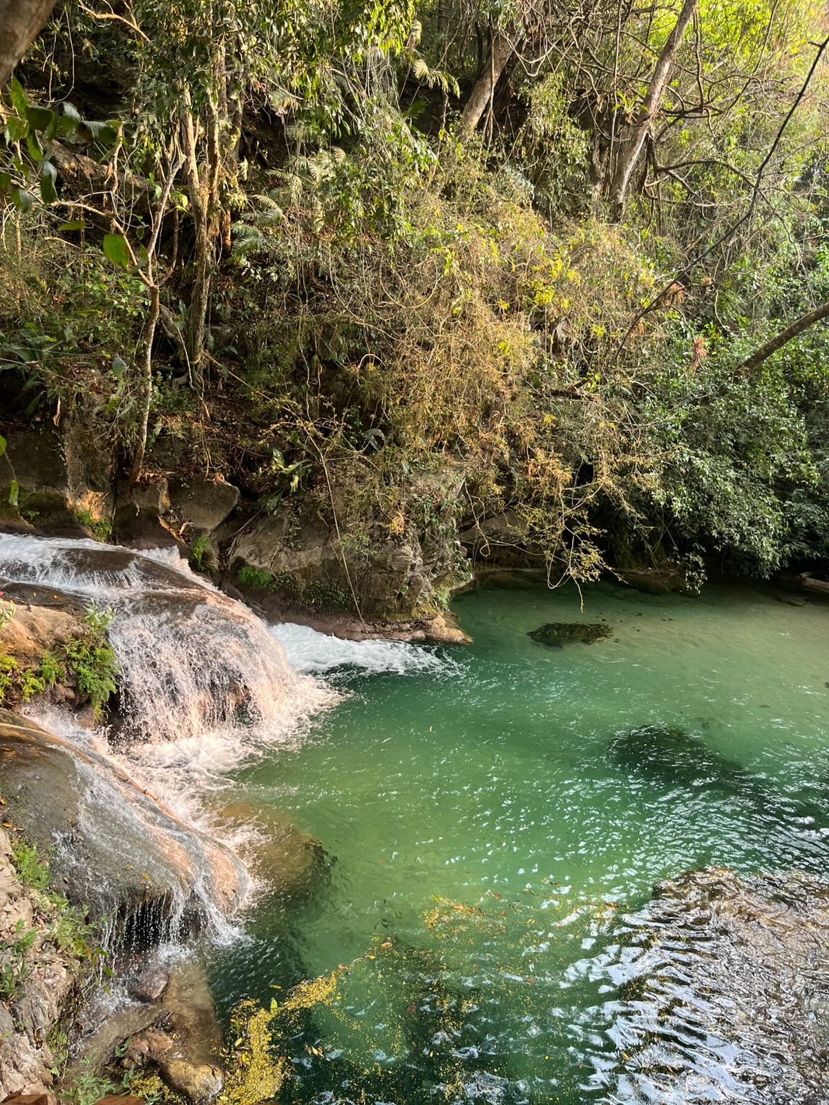 Cascadas de San Miguel, transporte colectivo con aire acondicionado 3