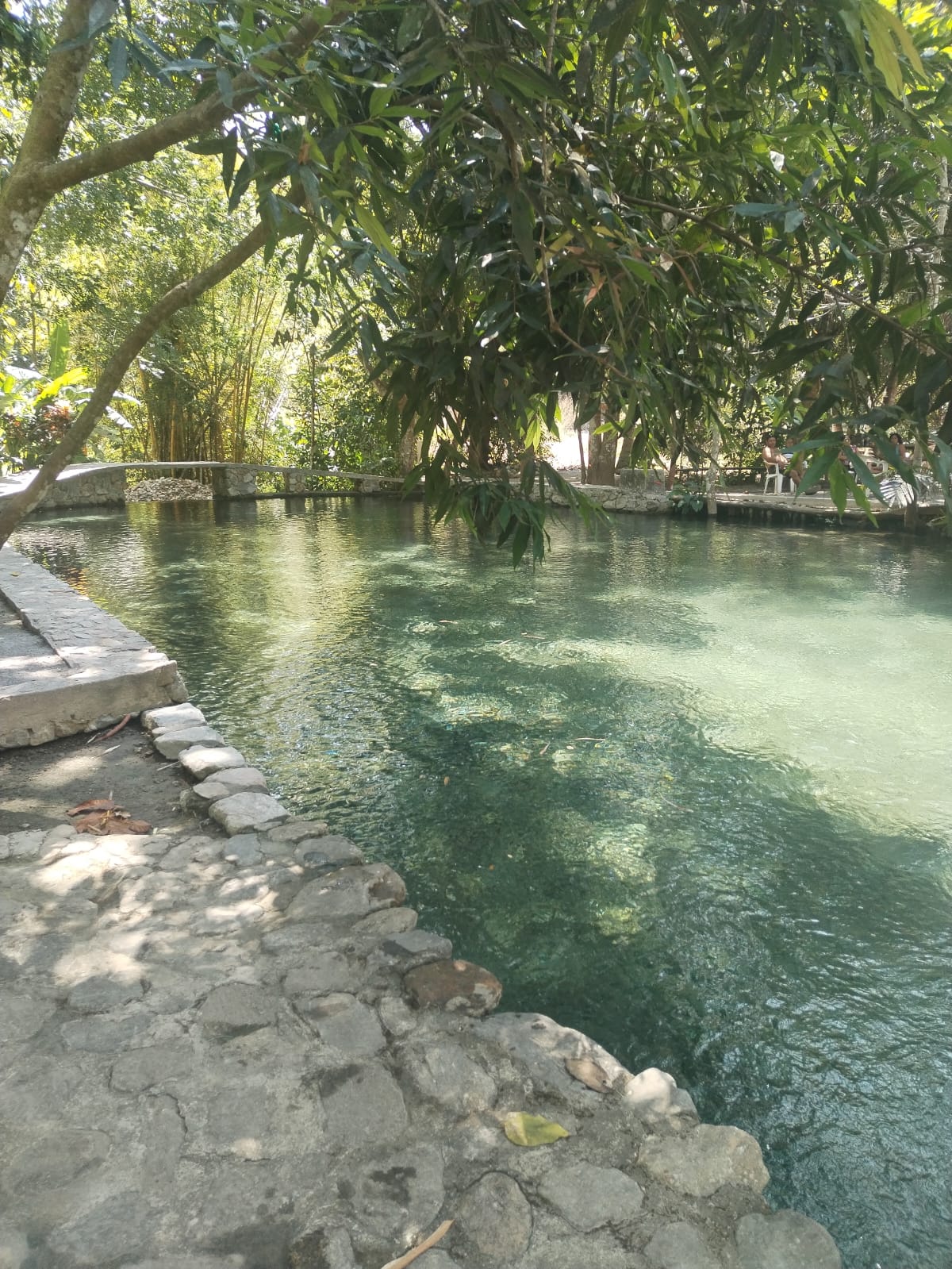 Biosfera Nacimiento de Agua, transporte colectivo con aire acondicionado 2