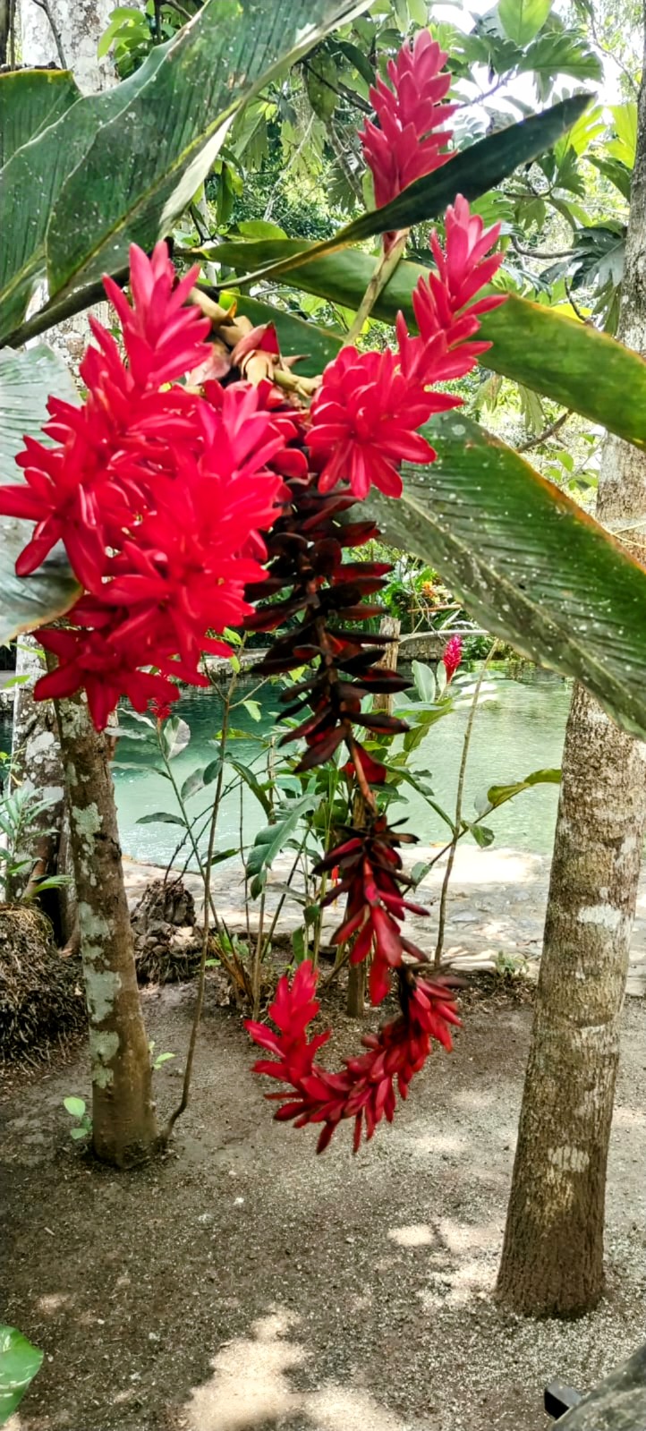 Biosfera Nacimiento de Agua, transporte colectivo con aire acondicionado 5