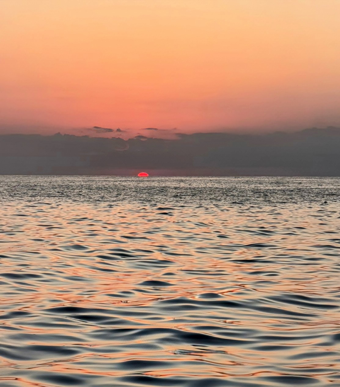 Lancha Privada | Vive el Amanecer Mágico con Delfines y Tortugas Para 8 Personas 3