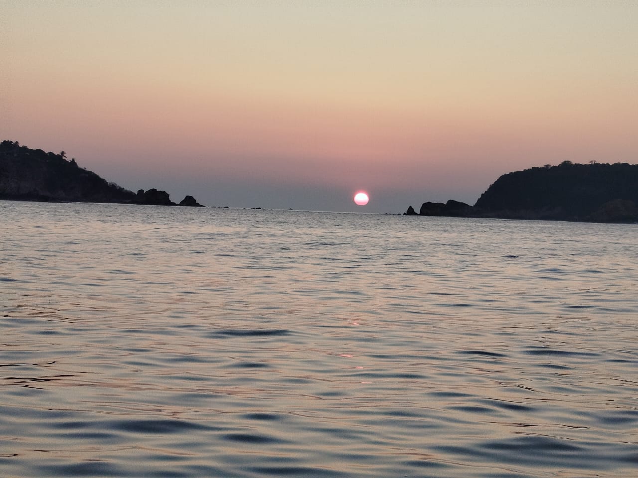 Lancha Privada | Vive el Amanecer Mágico con Delfines y Tortugas para 10 Personas 3