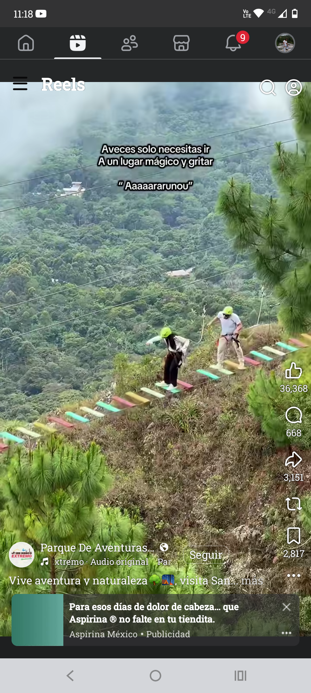 🏔️Explora la sierra: escapada mágica a San José del pacífico un día, paseo privado para 6 personas 3