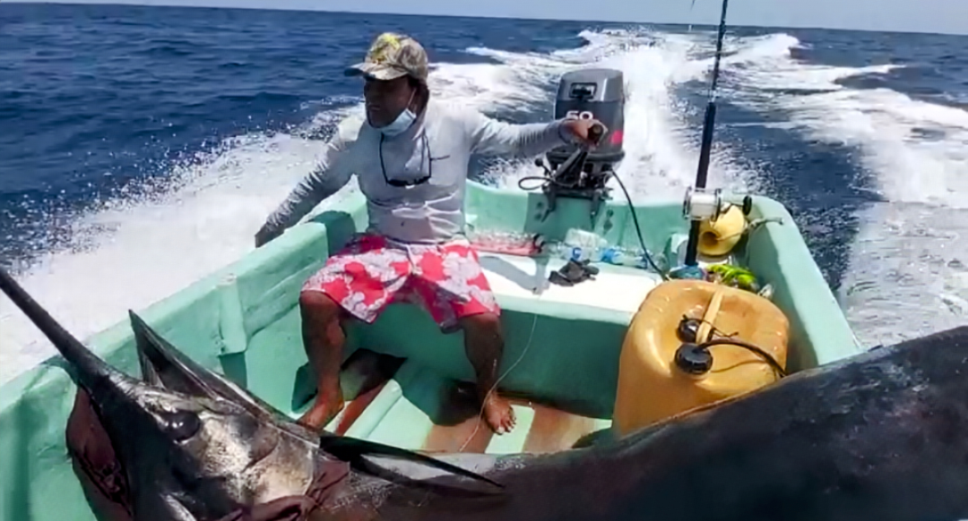 Pesca Deportiva 5 horas | Aventura y Emoción en Alta Mar 3