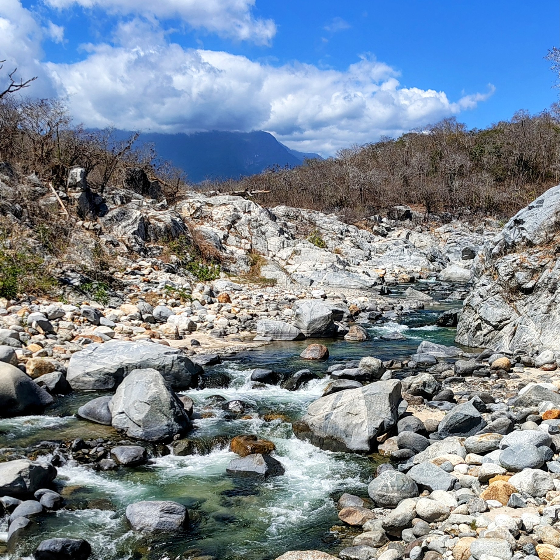 Aguas termales Nizandu paseo privado para 6 personas desde Huatulco 5