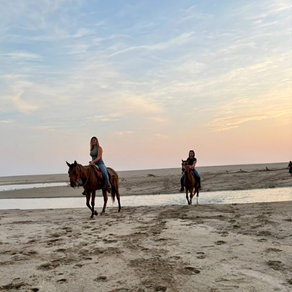 🐴Cabalgata tradicional: entré el río copalita y el mar 🌊 hasta 6 personas 4