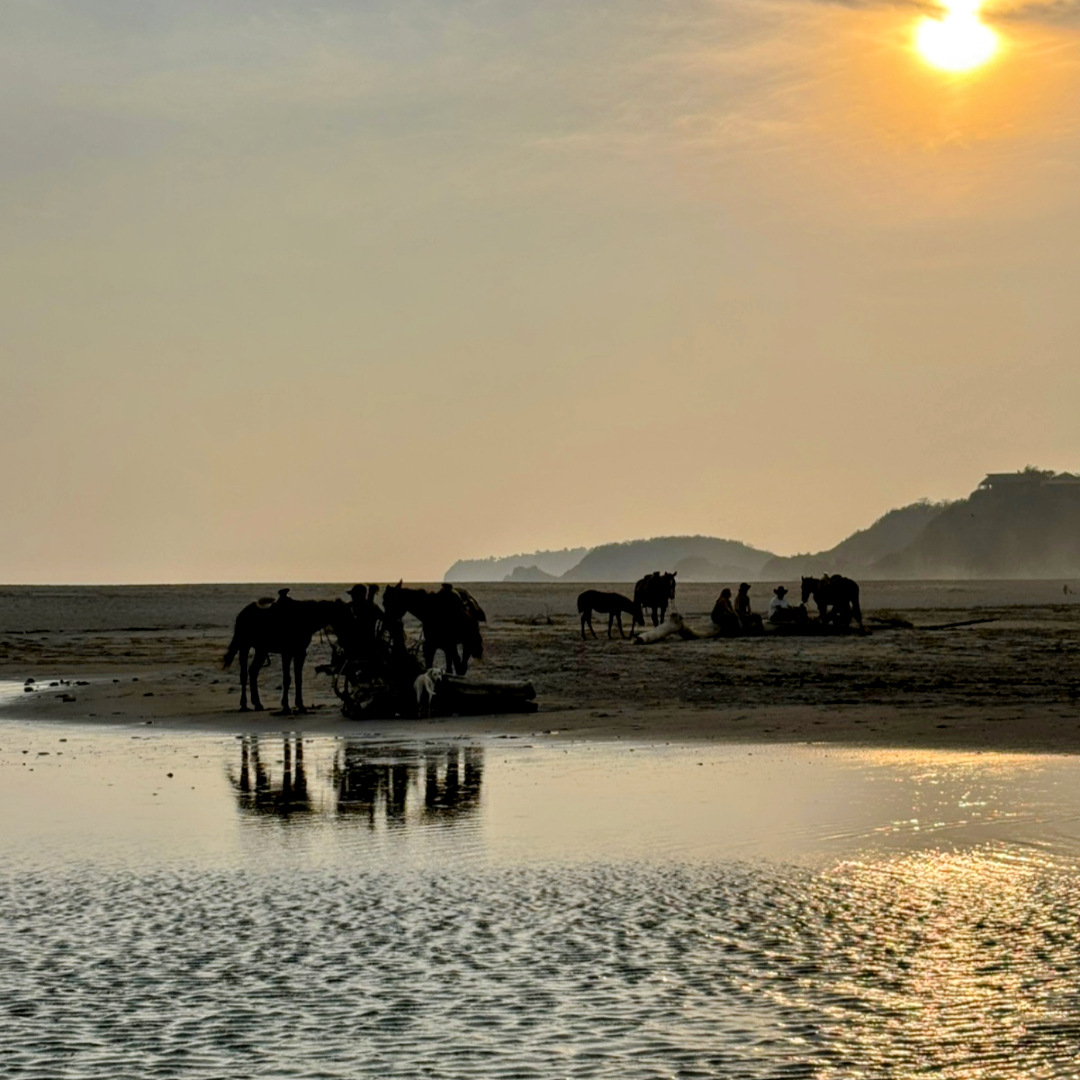 🐴Cabalgata tradicional: entré el río copalita y el mar 🌊 hasta 6 personas 5